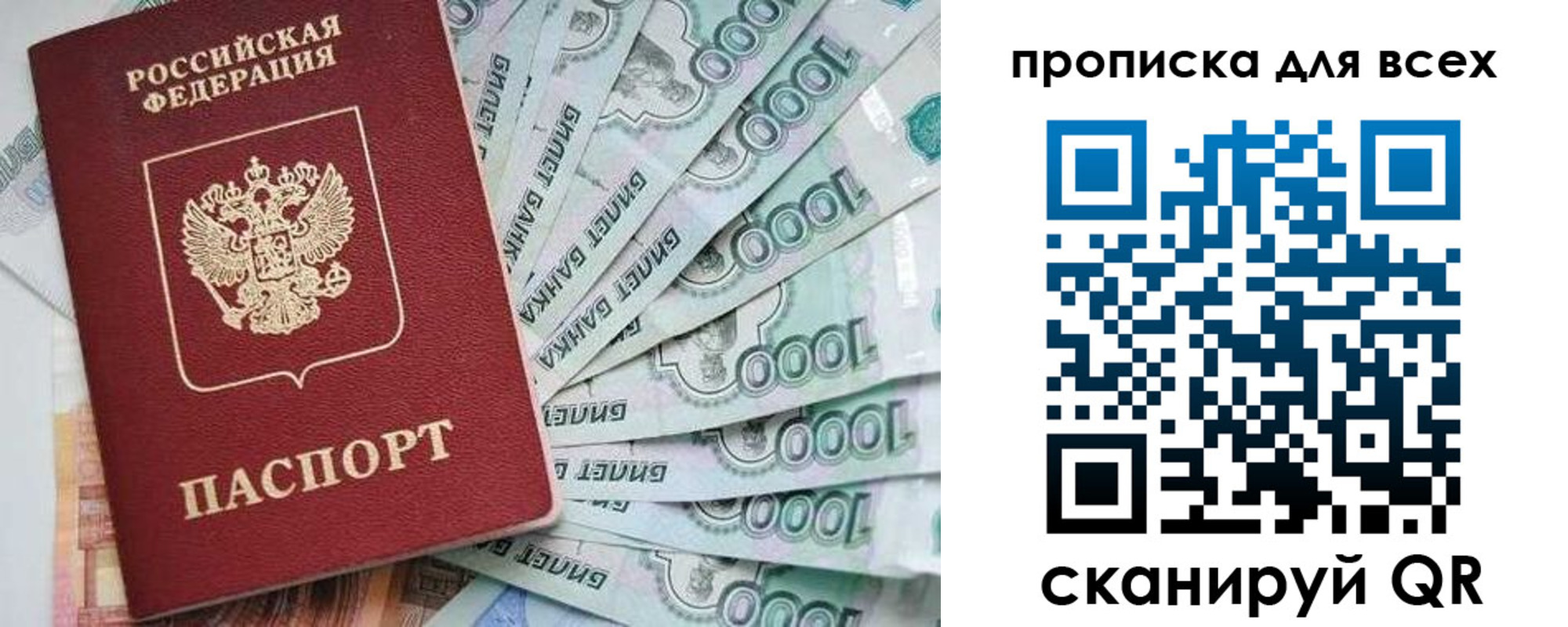 прописка гарантия в Котово